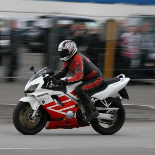 crop-2011_ba_2608__large_