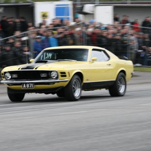 crop-2011_ba_2725__large_