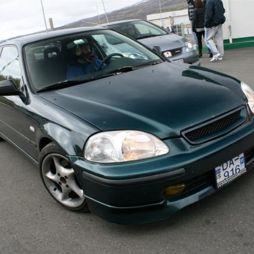 crop-2011_ba_2852__large_