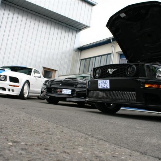 crop-2011_ba_2903__large_