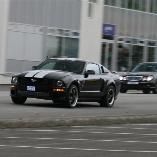 crop-2011_ba_2929__large_