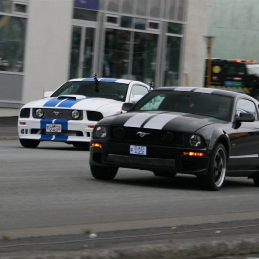 crop-2011_ba_2934__large_