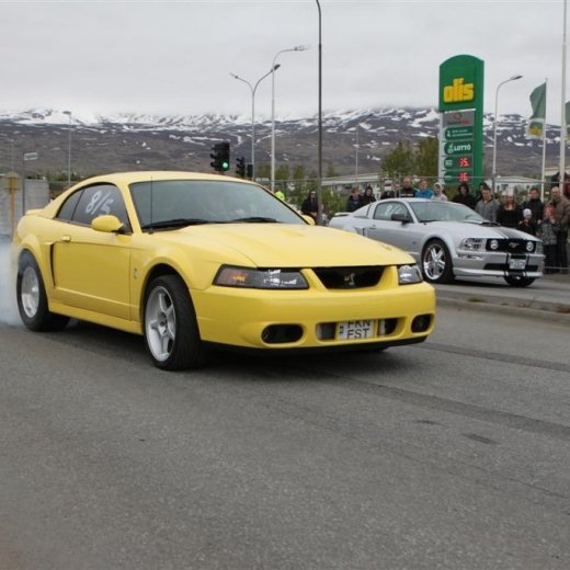 crop-2011_ba_664__large_