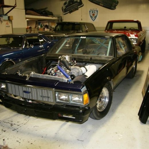 crop-02.02.2011_012__large_