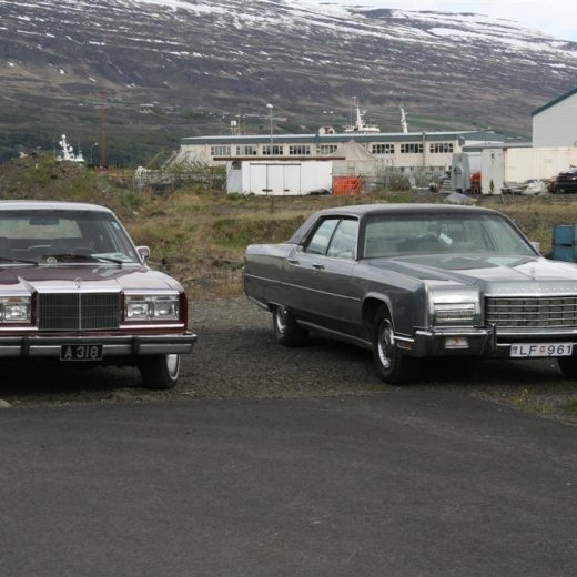 crop-02.06.2011_012__large_