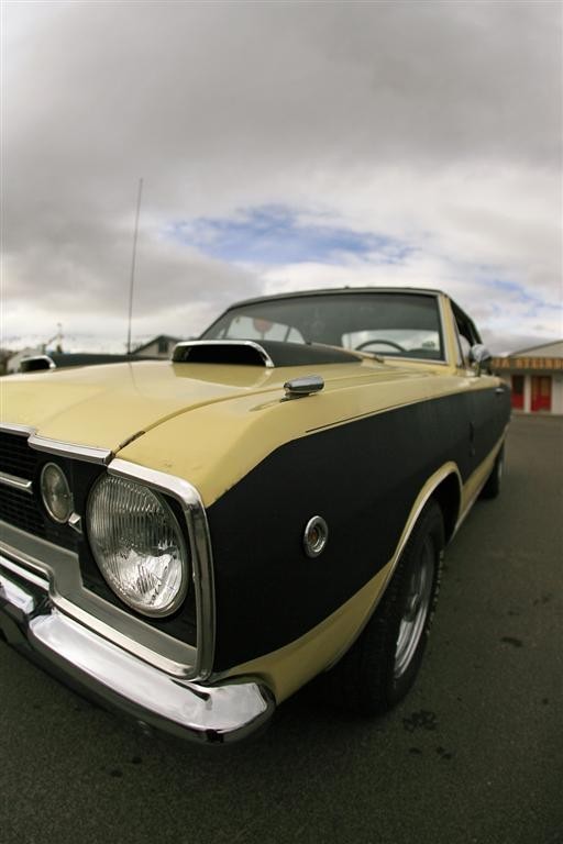 b_laskodun_11_005__large_