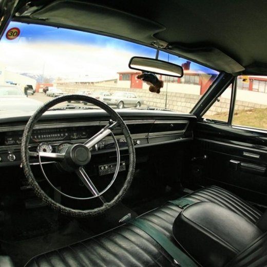 crop-b_laskodun_11_006__large_