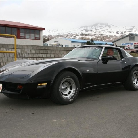 crop-07.05.2011_004__large_