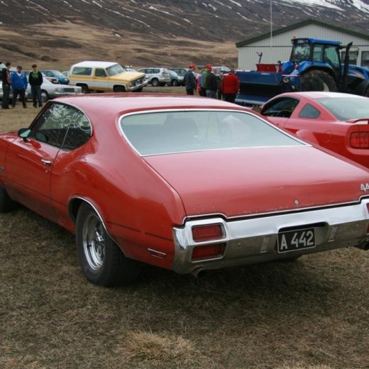 crop-23.04.2011_074__large_