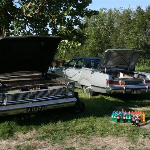 crop-23.07.2011_265__large_