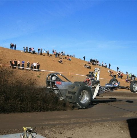 crop-img_8781__large_