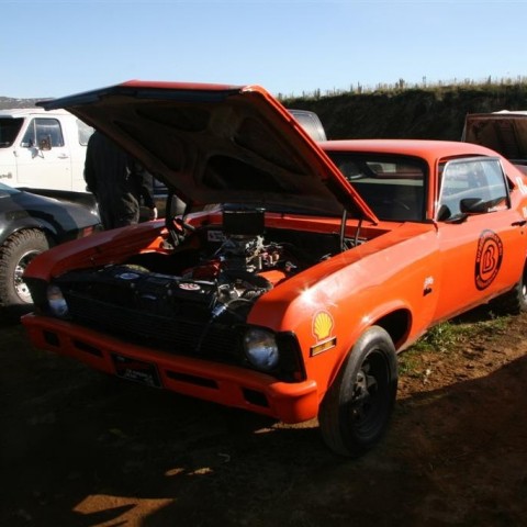 crop-17.09.2011_017__large_