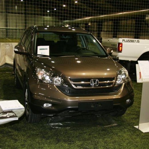 crop-13.02.2011_048__large_