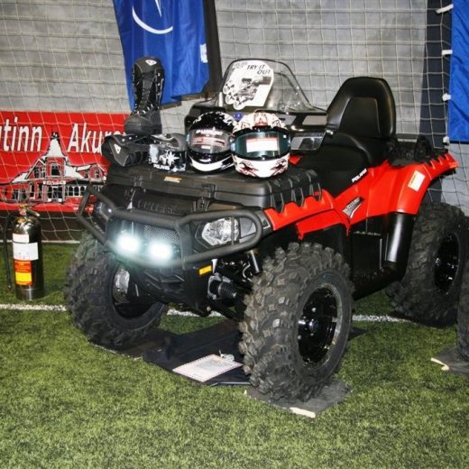 crop-13.02.2011_068__large_