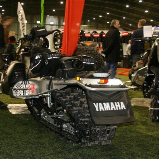 crop-13.02.2011_108__large_