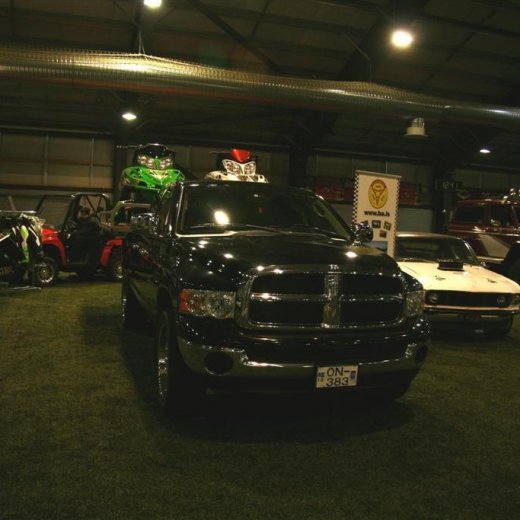 crop-13.02.2011_146__large_