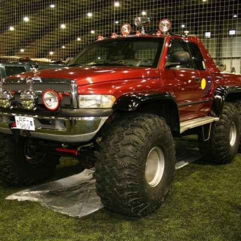 crop-13.02.2011_046__large_