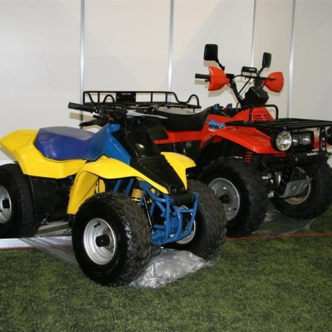 crop-13.02.2011_062__large_