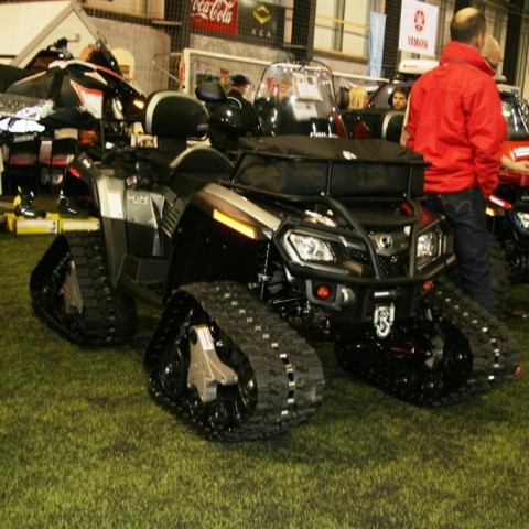 crop-13.02.2011_079__large_