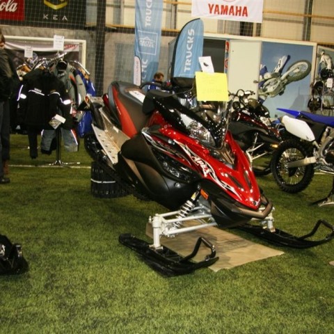 crop-13.02.2011_098__large_