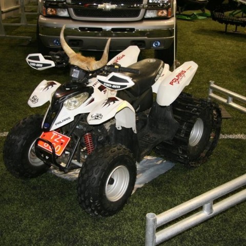 crop-13.02.2011_113__large_