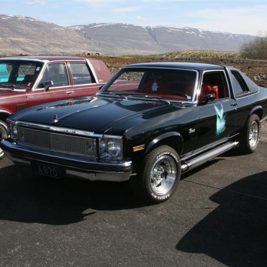 crop-27.05.2012_026__large_