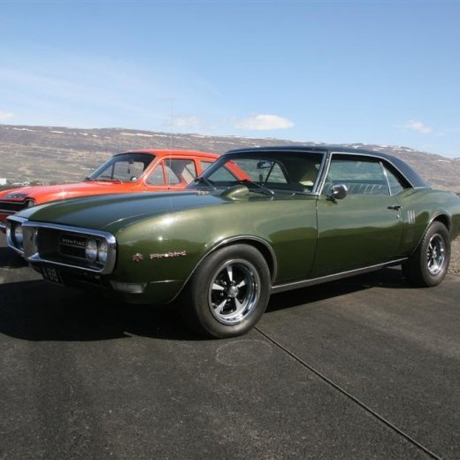 crop-27.05.2012_035__large_