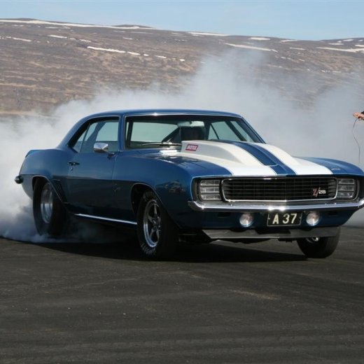 crop-27.05.2012_258__large_