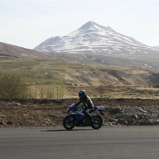 crop-27.05.2012_272__large_