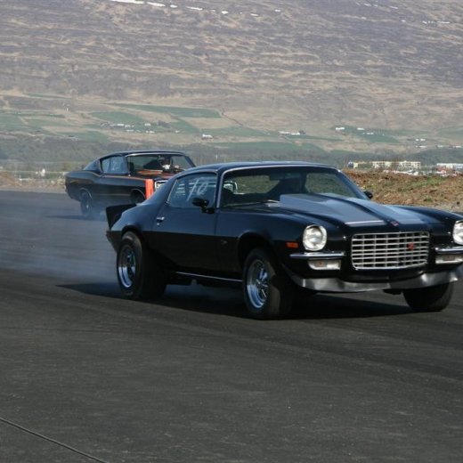 crop-27.05.2012_356__large_