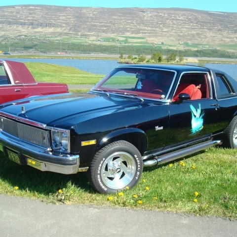 crop-dsc01815__large_