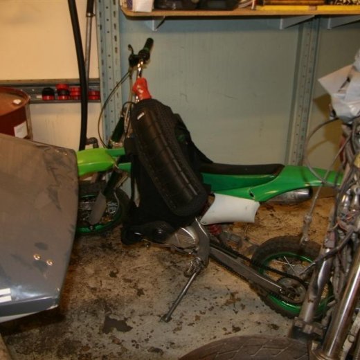 crop-15.02.2012_045__large_