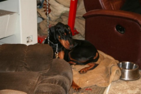 15.02.2012_055__large_