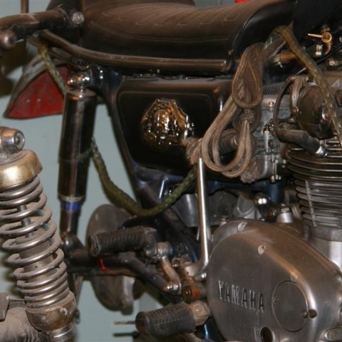 crop-15.02.2012_046__large_