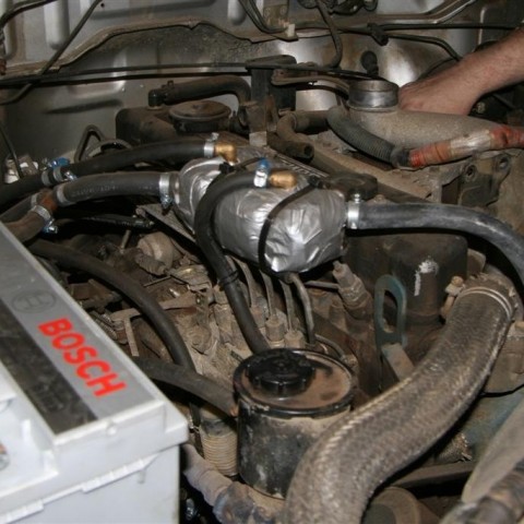 crop-15.02.2012_051__large_