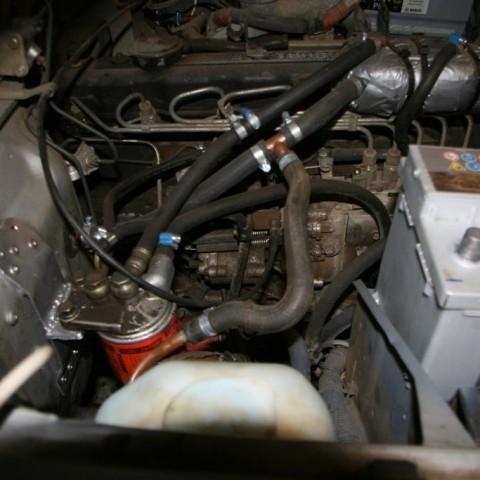 crop-15.02.2012_052__large_