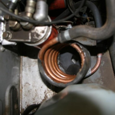 crop-15.02.2012_053__large_