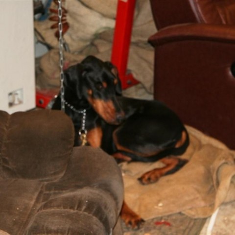 crop-15.02.2012_055__large_