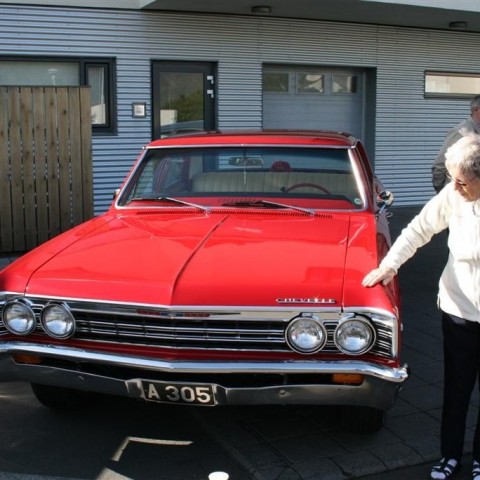 crop-hlid_25.08__10_