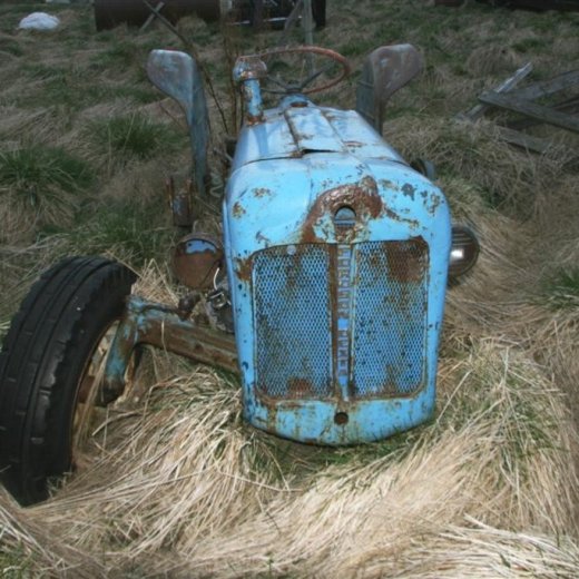 crop-y_30.05.2012__11_