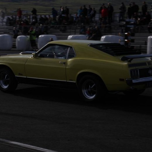 crop-216-img_5067__large_