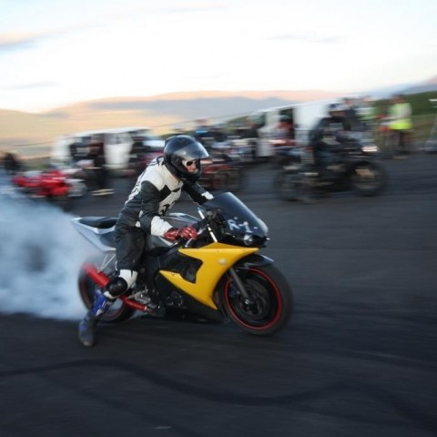 crop-183-img_4508__large_