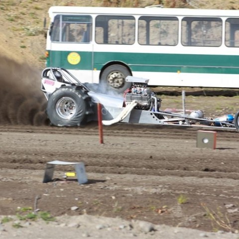 crop-img_8988__large_