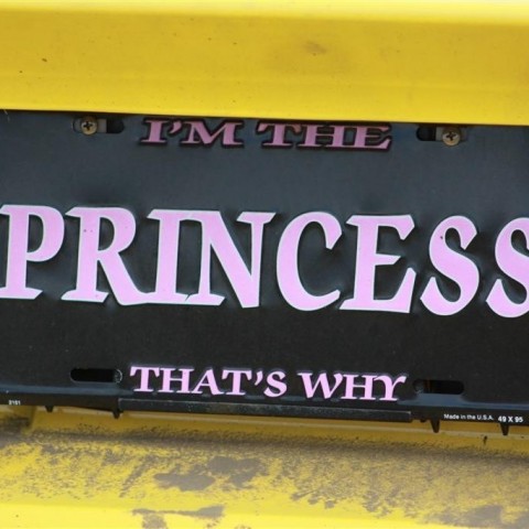 crop-img_9349__large_