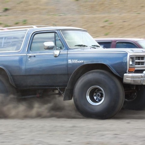 crop-img_9505__large_