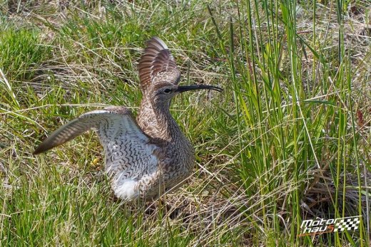 13512051_1626791730969258_4367768970981810590_n