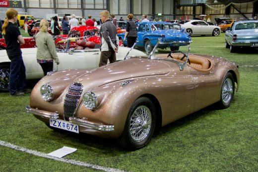 13412136_532226466949608_3668098410553076577_o