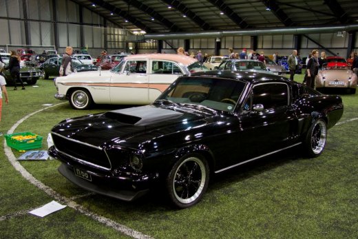 13415562_532226313616290_804813937975416954_o