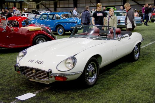 13433071_532226646949590_7195854936077439093_o