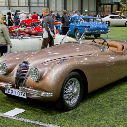 crop-13412136_532226466949608_3668098410553076577_o